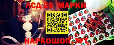 mdpv Славгород