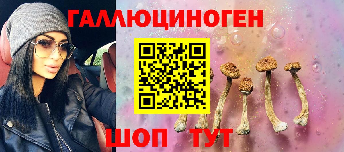 Галлюциногенные грибы GOLDEN TEACHER  Галлюциногенные грибы Cubensis  Вход с VPN  Ахтубинск 
