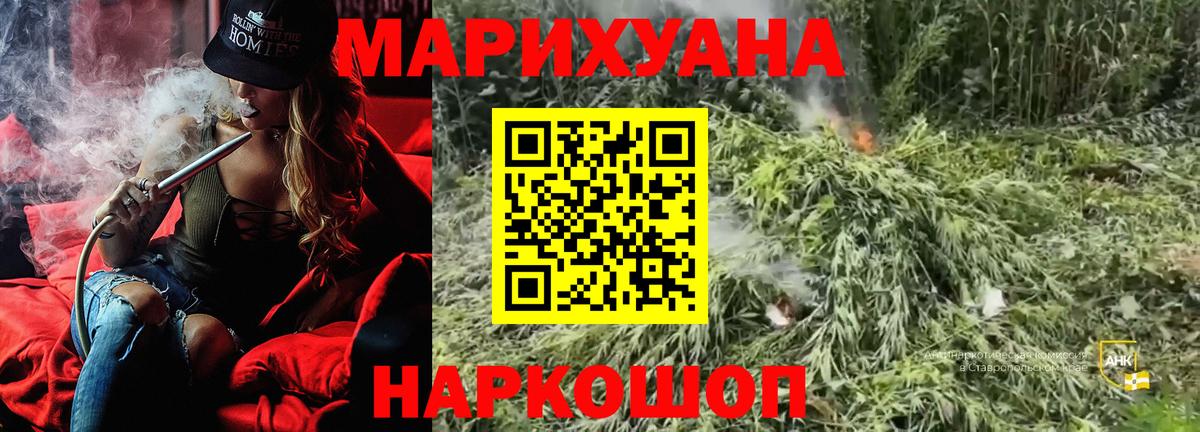 Бошки Шишки конопля  МАРИХУАНА индика  Вход с VPN  Ахтубинск 